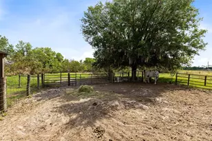 3591 N Canoe Creek Rd, Kenansville, FL 34739 - Photo 38