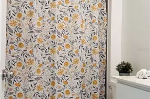 4260 Pebbles Throw Dr, Kissimmee, FL 34746 - Photo 12