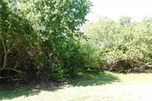 1720 Arabian Ln, Palm Harbor, FL 34685 - Photo 2
