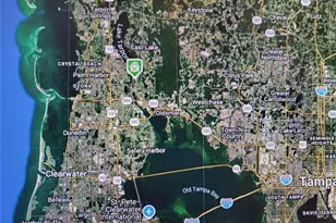 1720 Arabian Ln, Palm Harbor, FL 34685 - Photo 4