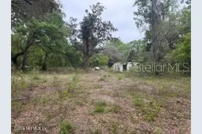 6621 Virginia Beach Lane, Keystone Heights, FL 32656 - Photo 8