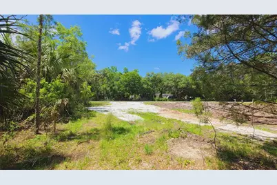 1013 Cupid Avenue, Christmas, FL 32709 - Photo 48