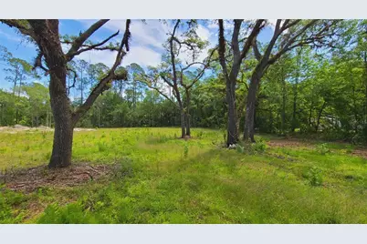 1013 Cupid Avenue, Christmas, FL 32709 - Photo 14