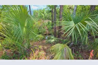 1013 Cupid Avenue, Christmas, FL 32709 - Photo 24