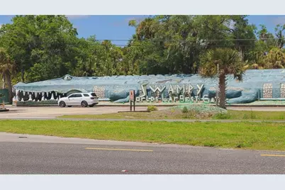 1013 Cupid Avenue, Christmas, FL 32709 - Photo 54