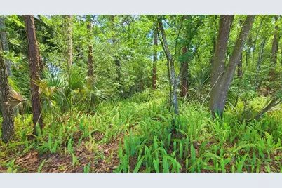 1013 Cupid Avenue, Christmas, FL 32709 - Photo 30