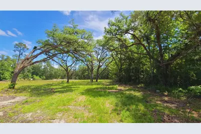 1013 Cupid Avenue, Christmas, FL 32709 - Photo 12