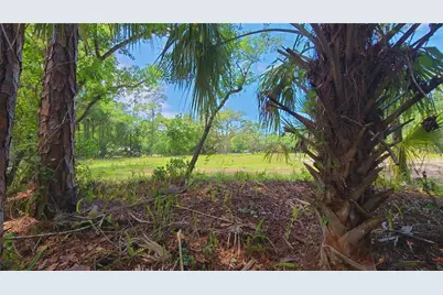 1013 Cupid Avenue, Christmas, FL 32709 - Photo 28