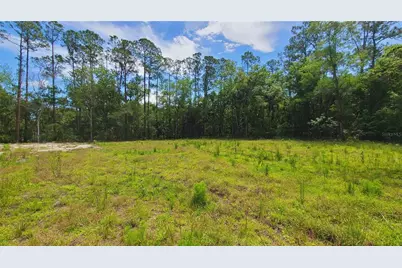1013 Cupid Avenue, Christmas, FL 32709 - Photo 18