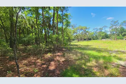 1013 Cupid Avenue, Christmas, FL 32709 - Photo 34