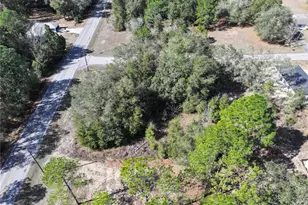 Tbd SW Marine Blvd, Dunnellon, FL 34431 - Photo 1