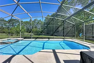 344 Orange Cosmos Blvd, Davenport, FL 33837 - Photo 24