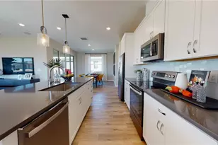 5143 Spring Maiden Circle, Apollo Beach, FL 33572 - Photo 8