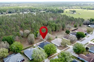 31249 Satinleaf Run, Brooksville, FL 34602 - Photo 60