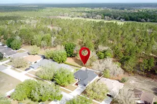 31249 Satinleaf Run, Brooksville, FL 34602 - Photo 58