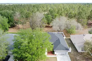 31249 Satinleaf Run, Brooksville, FL 34602 - Photo 62