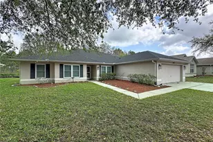 31249 Satinleaf Run, Brooksville, FL 34602 - Photo 1