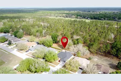 31249 Satinleaf Run, Brooksville, FL 34602 - Photo 62
