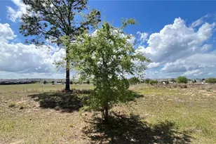 2440 White Poppy Dr, Kissimmee, FL 34747 - Photo 28