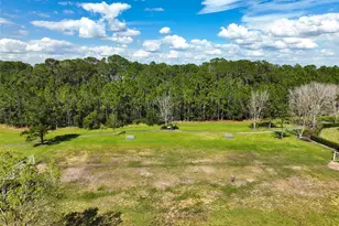 3335 Primrose Willow Dr, Saint Cloud, FL 34773 - Photo 70