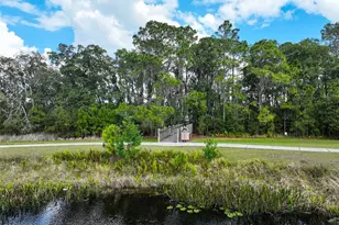 3335 Primrose Willow Dr, Saint Cloud, FL 34773 - Photo 64