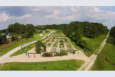 3113 Songbird Cir, Saint Cloud, FL 34773 - Photo 44