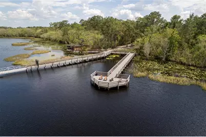 3399 Sagebrush Street, Harmony, FL 34773 - Photo 44