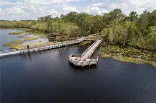 3399 Sagebrush St, Harmony, FL 34773 - Photo 44
