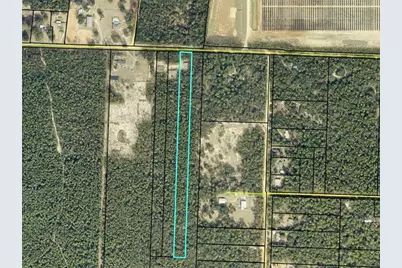 Trawick Creek Rd, Holt, FL 32564 - Photo 6