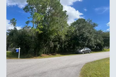 Wauchula Street, Intercession City, FL 33848 - Photo 1