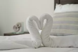 6165 Carrier Dr, Orlando, FL 32819 - Photo 10