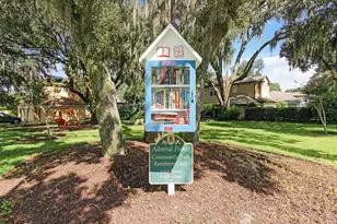 687 Statenville Ct, Ocoee, FL 34761 - Photo 46