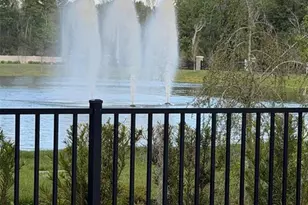 11342 Nona Sound St, Orlando, FL 32832 - Photo 16