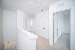 9039 Alba Ln, Kissimmee, FL 34747 - Photo 8