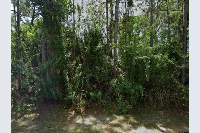 1250 Gingold Street NW, Palm Bay, FL 32907 - Photo 1