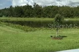 4304 Desert Rose Ave, Kissimmee, FL 34746 - Photo 24