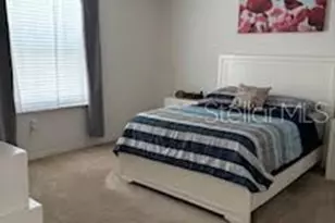 4304 Desert Rose Ave, Kissimmee, FL 34746 - Photo 8