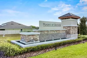 9016 Pyrus St, Kissimmee, FL 34747 - Photo 54