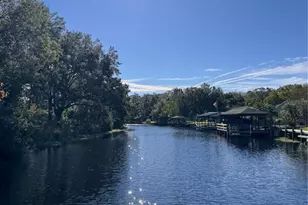3430 Lake Diane Rd, Tavares, FL 32778 - Photo 14