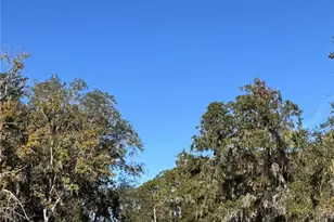 3430 Lake Diane Rd, Tavares, FL 32778 - Photo 16