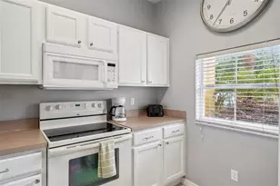 3103 Yellow Lantana Ln, Kissimmee, FL 34747 - Photo 10