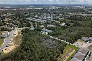 17352 Blessing Dr, Clermont, FL 34714 - Photo 50