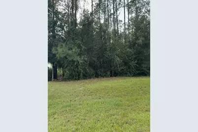 Lake Smith Road, Umatilla, FL 32784 - Photo 1