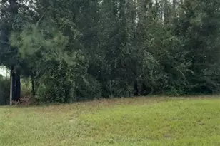 Lake Smith Rd, Umatilla, FL 32784 - Photo 1