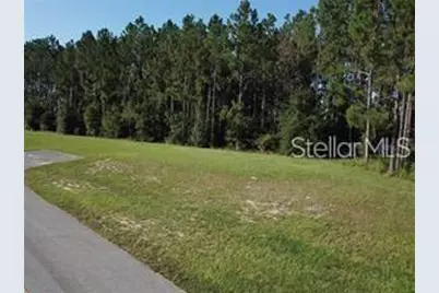 Lake Smith Road, Umatilla, FL 32784 - Photo 1
