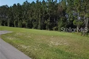 Lake Smith Rd, Umatilla, FL 32784 - Photo 1