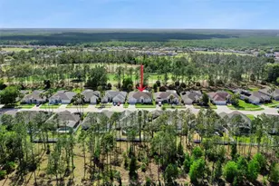 331 N Hampton Dr, Davenport, FL 33897 - Photo 56