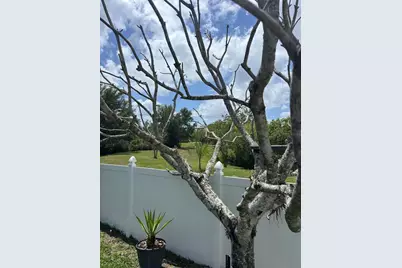 1034 Bella Vida Boulevard, Orlando, FL 32828 - Photo 48