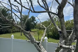 1034 Bella Vida Blvd, Orlando, FL 32828 - Photo 48