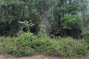 6265 N Allston Terrace, Dunnellon, FL 34433 - Photo 1